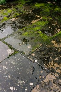 soft washing in Exeter